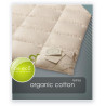 ORGANIC COTTON kołdra letnia puch 100% Naturalny 155x200cm - AMZ
